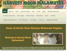 Tablet Screenshot of harvestmoonmalamutes.com